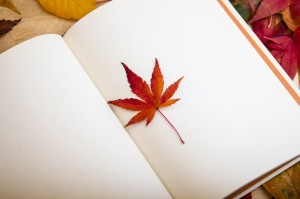 fall book