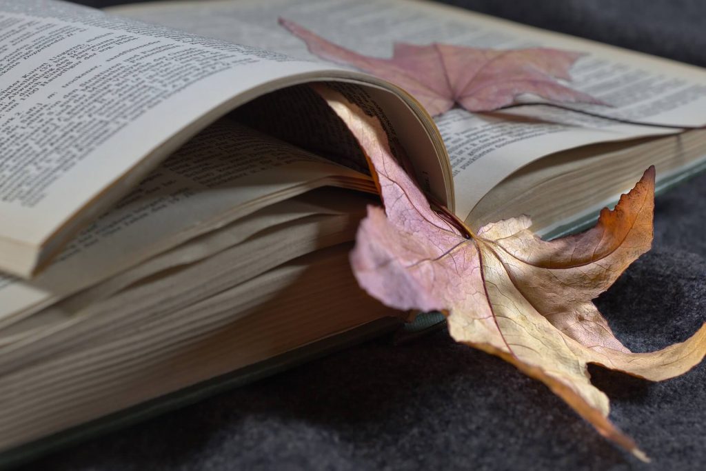 An open book with two leaves marking the pages.